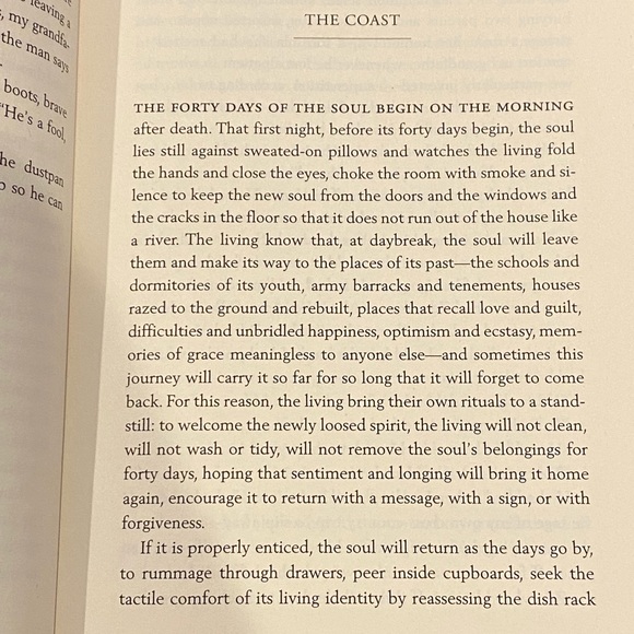 The Tigers Wife Book - Picture 7 of 8